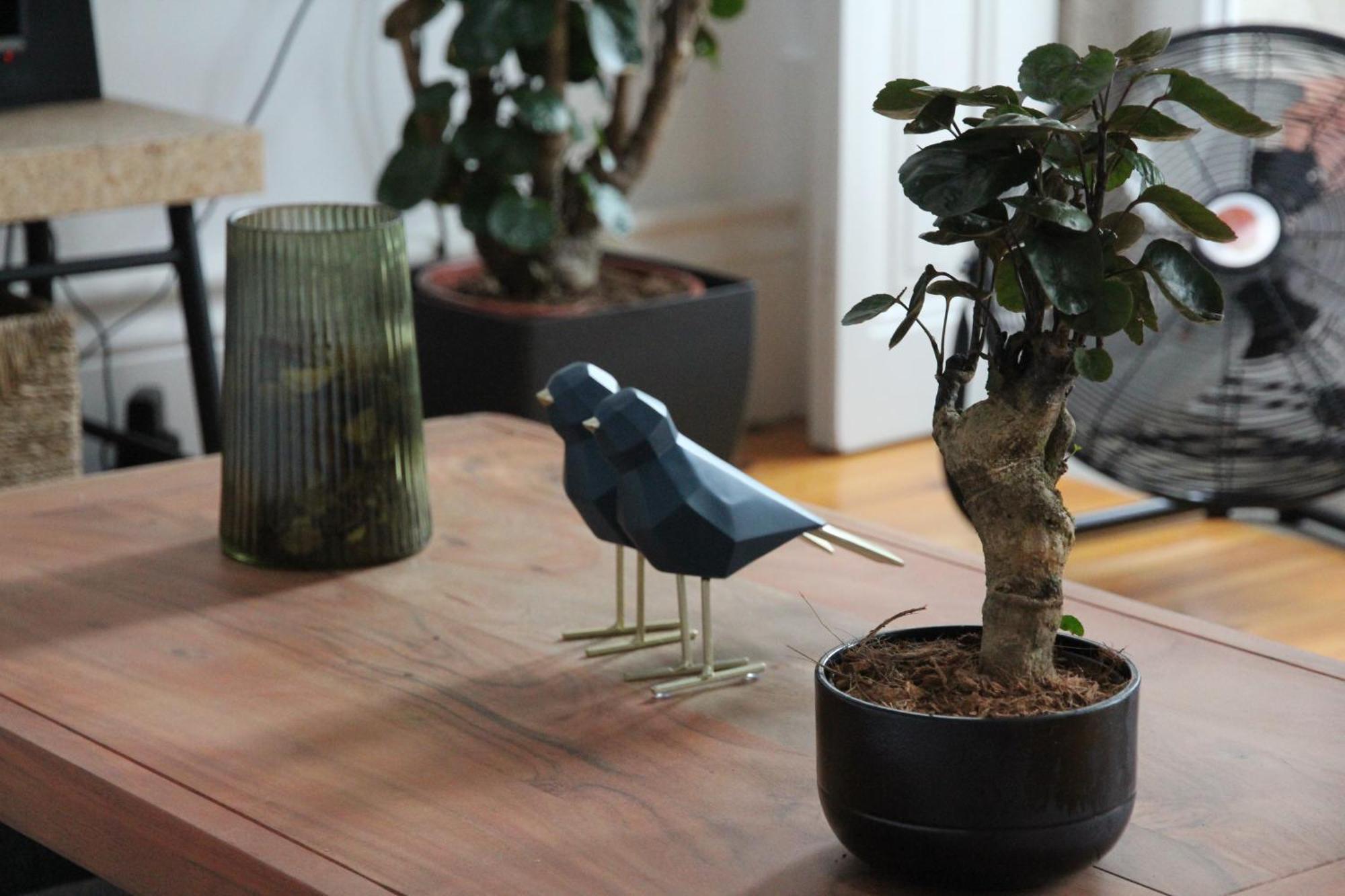 Downtown Urban Nest Apartamento Porto